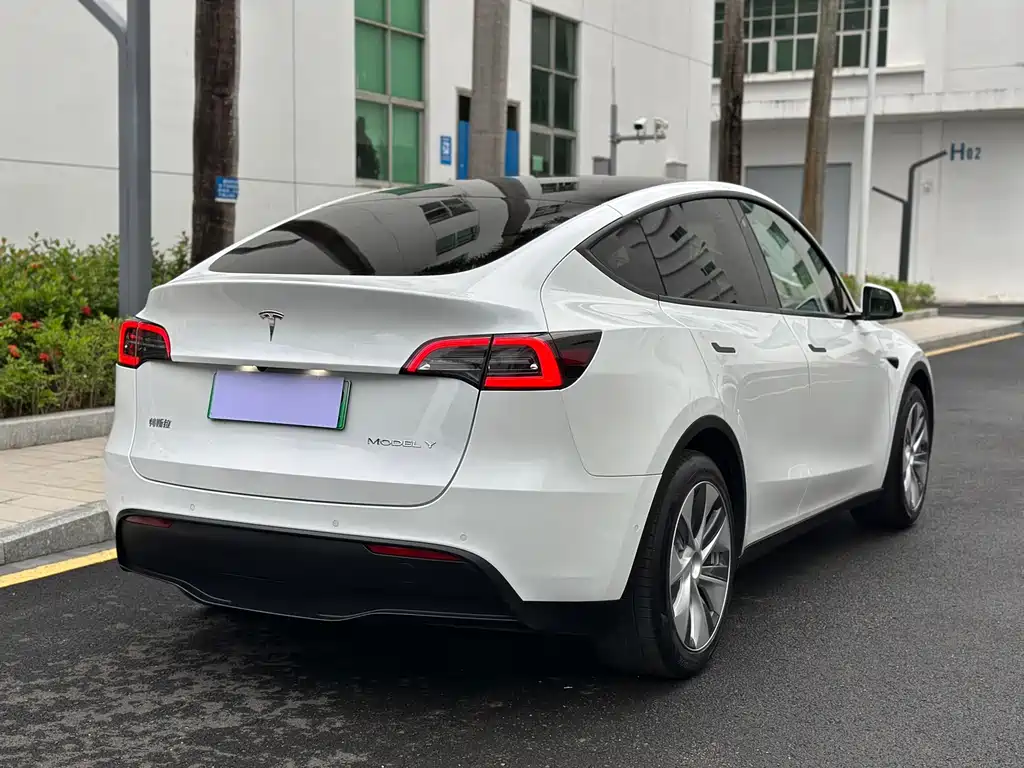 Tesla Model Y — миниатюра 6