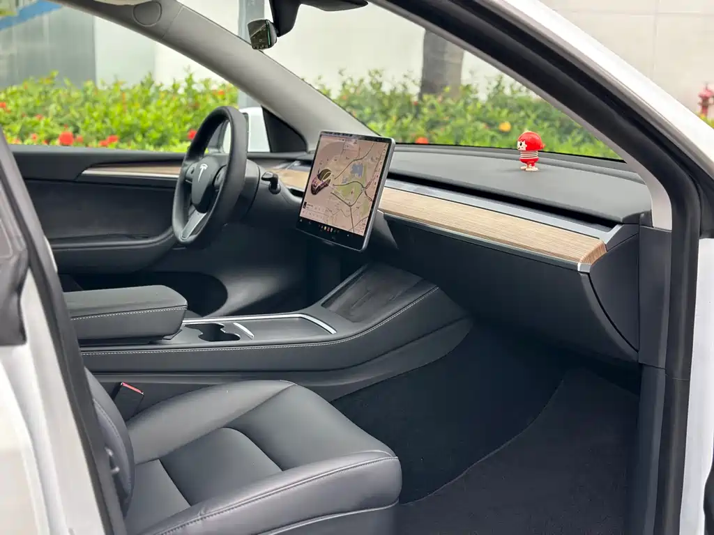Tesla Model Y — миниатюра 15