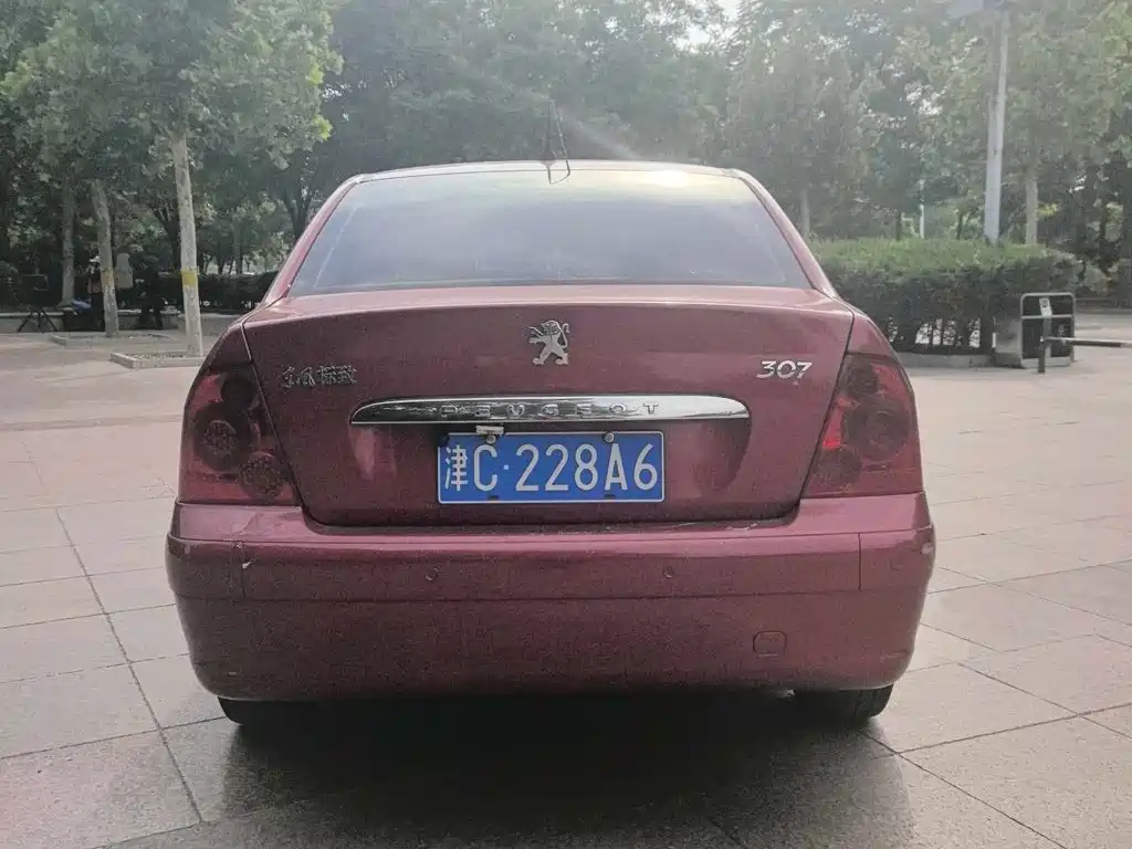 Peugeot 307 — миниатюра 5