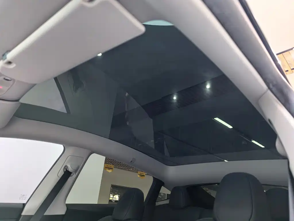 Tesla Model Y — миниатюра 17