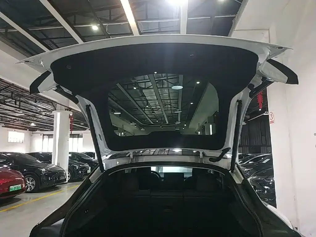 Tesla Model Y — миниатюра 15