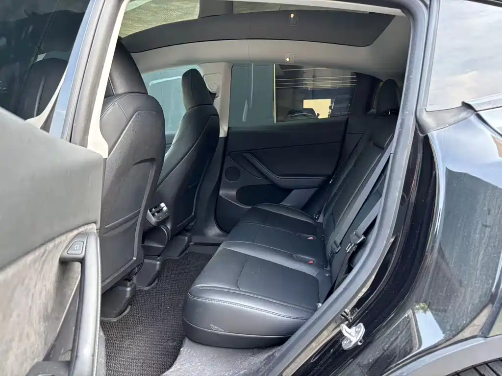 Tesla Model Y — миниатюра 6