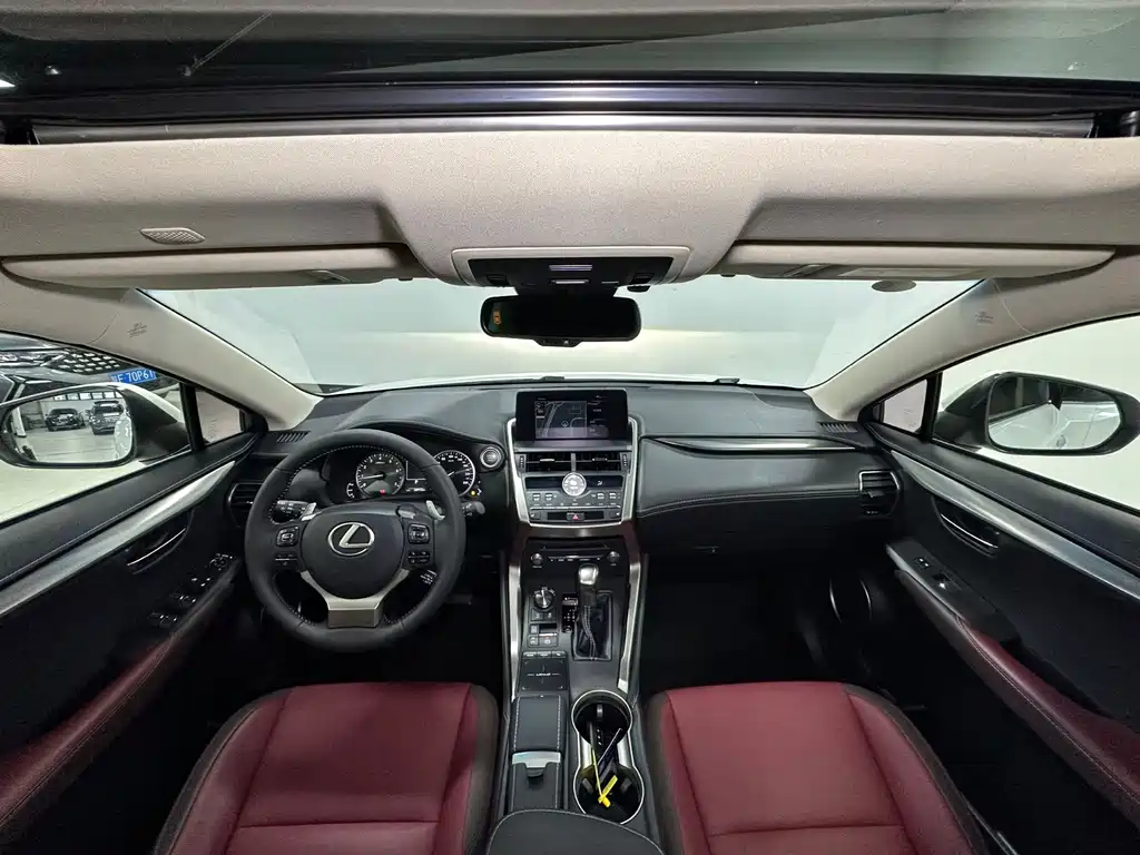 Lexus NX — миниатюра 15