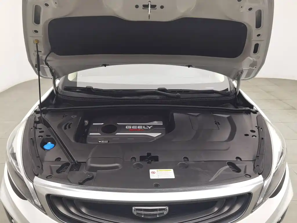 Geely Emgrand GS — миниатюра 6