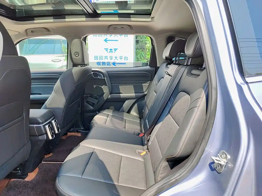 Haval Dargo 2.0T DCT Chinese Rural Dog Edition, фото 8
