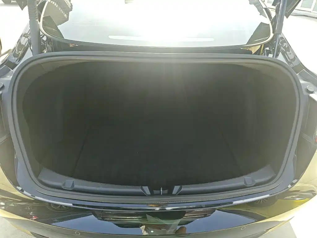 Tesla Model 3 — миниатюра 19