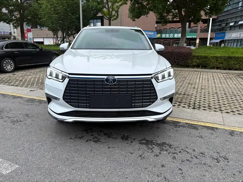 BYD Pro New Energy — миниатюра 2