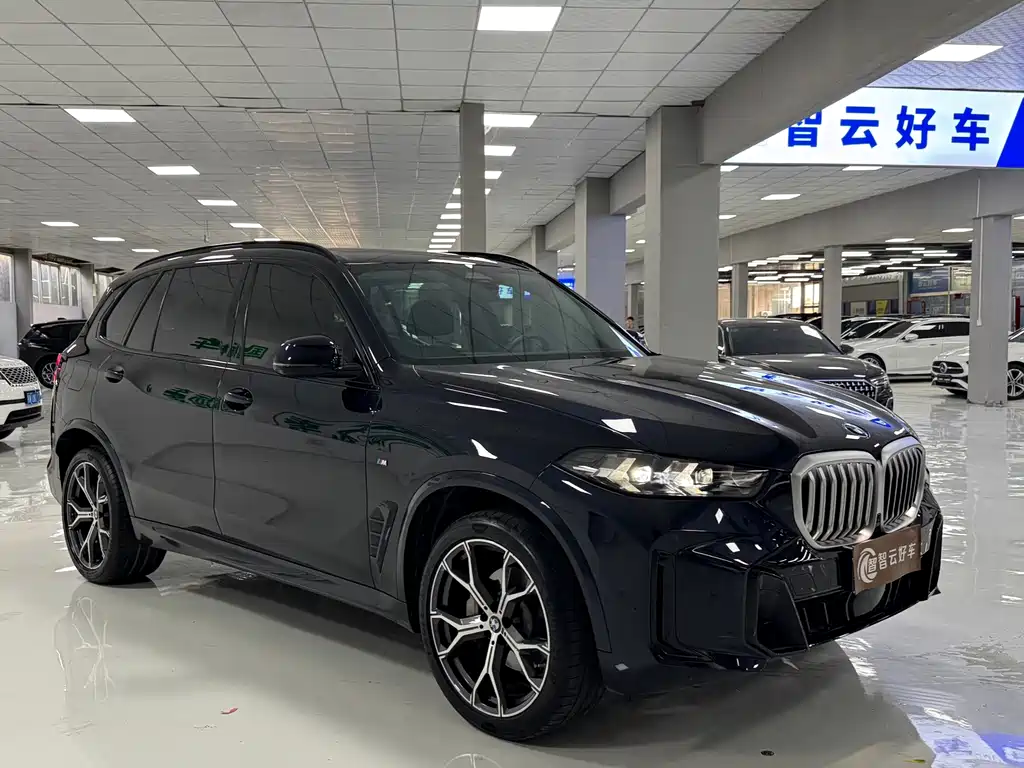 BMW X5 — миниатюра 3