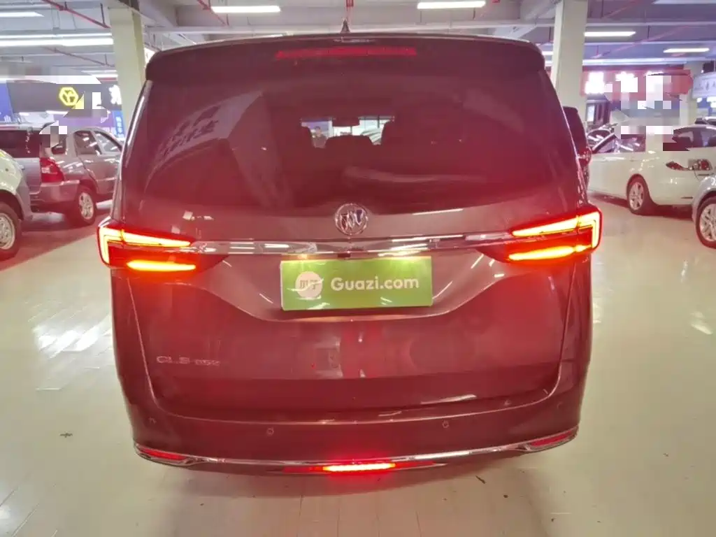 Buick GL8 — миниатюра 6