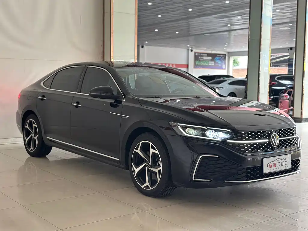 Volkswagen Passat — миниатюра 3