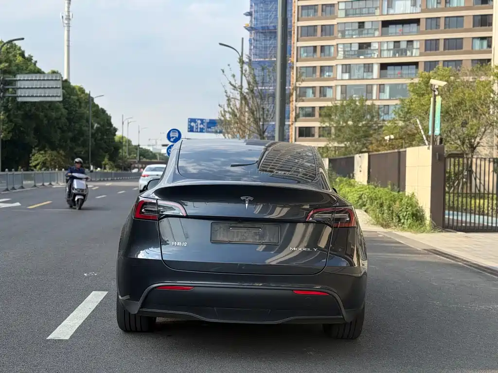 Tesla Model Y — миниатюра 5