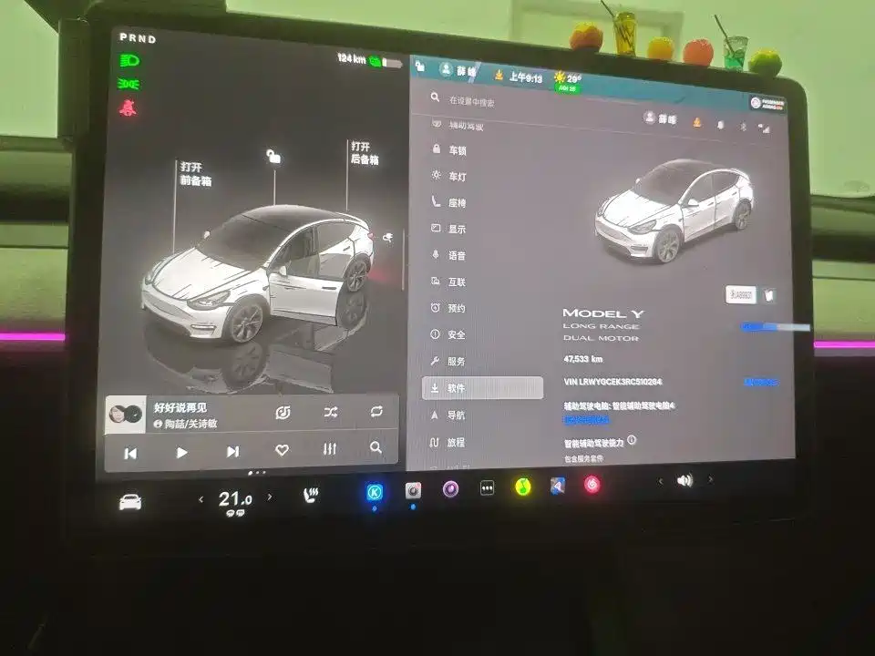 Tesla Model Y — миниатюра 10