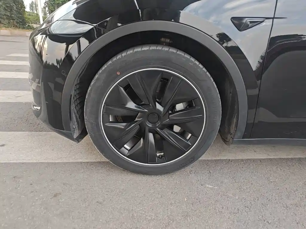 Tesla Model Y — миниатюра 23