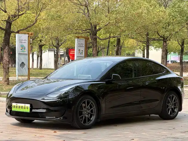 TESLA MODEL 3 2021