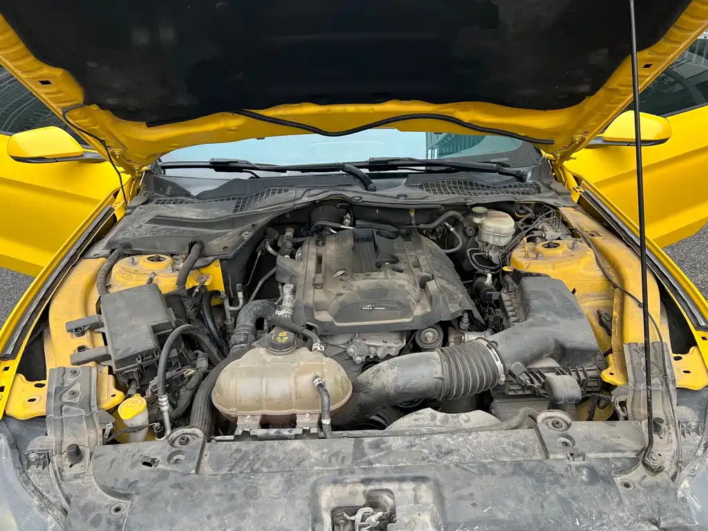 Ford Mustang — миниатюра 16