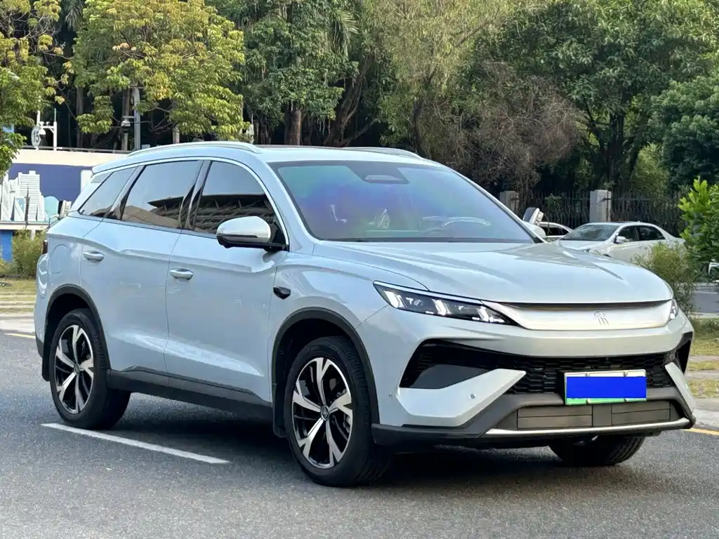 BYD Pro New Energy — миниатюра 2