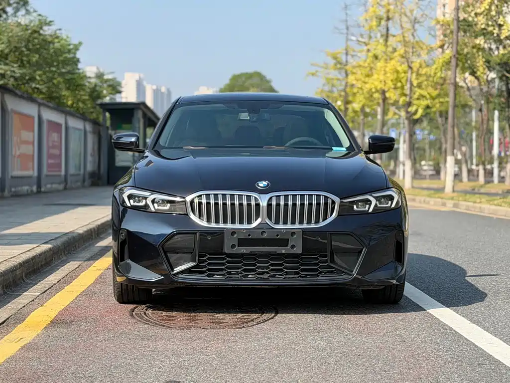 BMW 3 Series — миниатюра 2