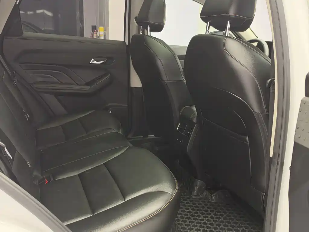 Haval Chitu — миниатюра 19