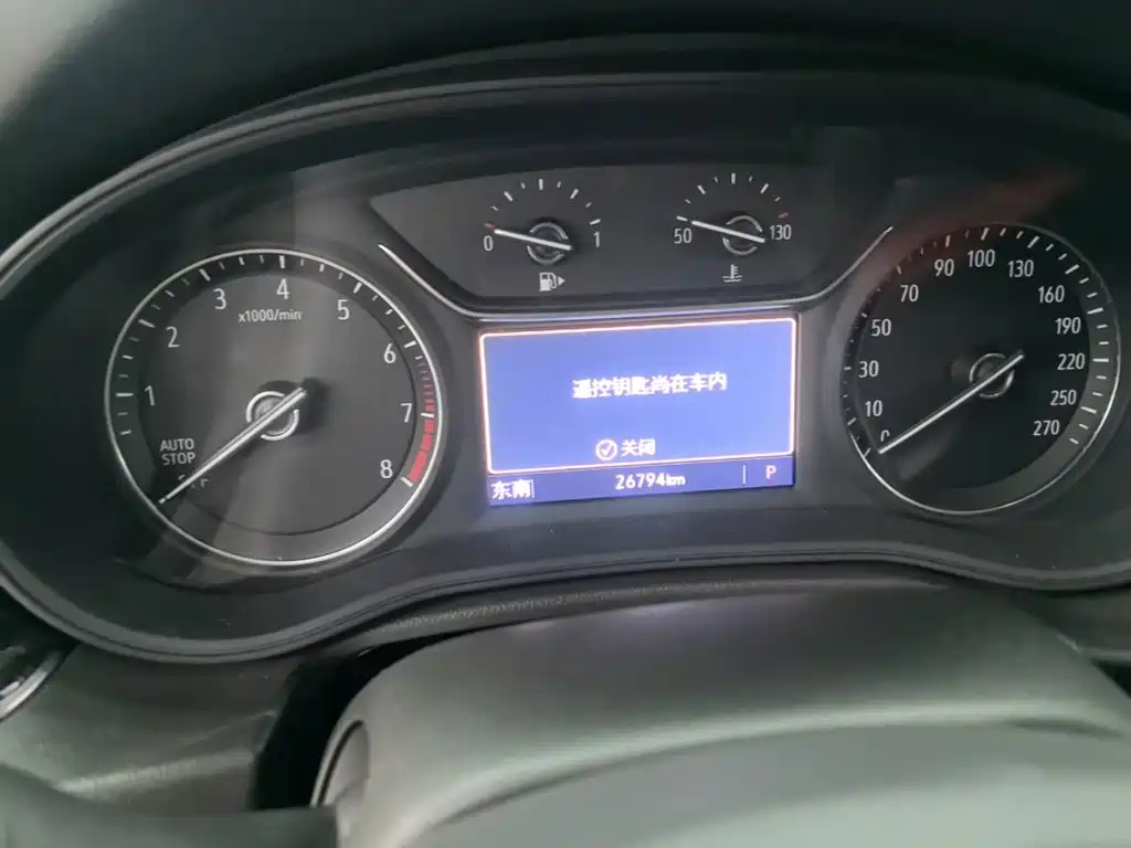 Buick Regal — миниатюра 12