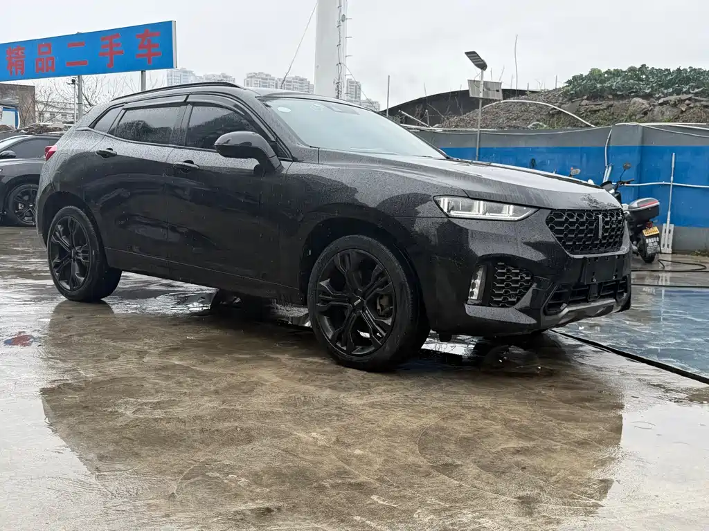 WEI PAI WEI BRAND VV7