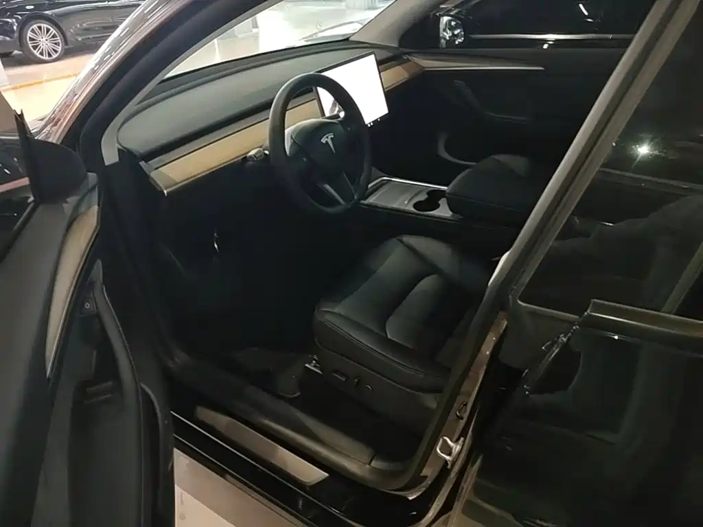 Tesla Model Y — миниатюра 16