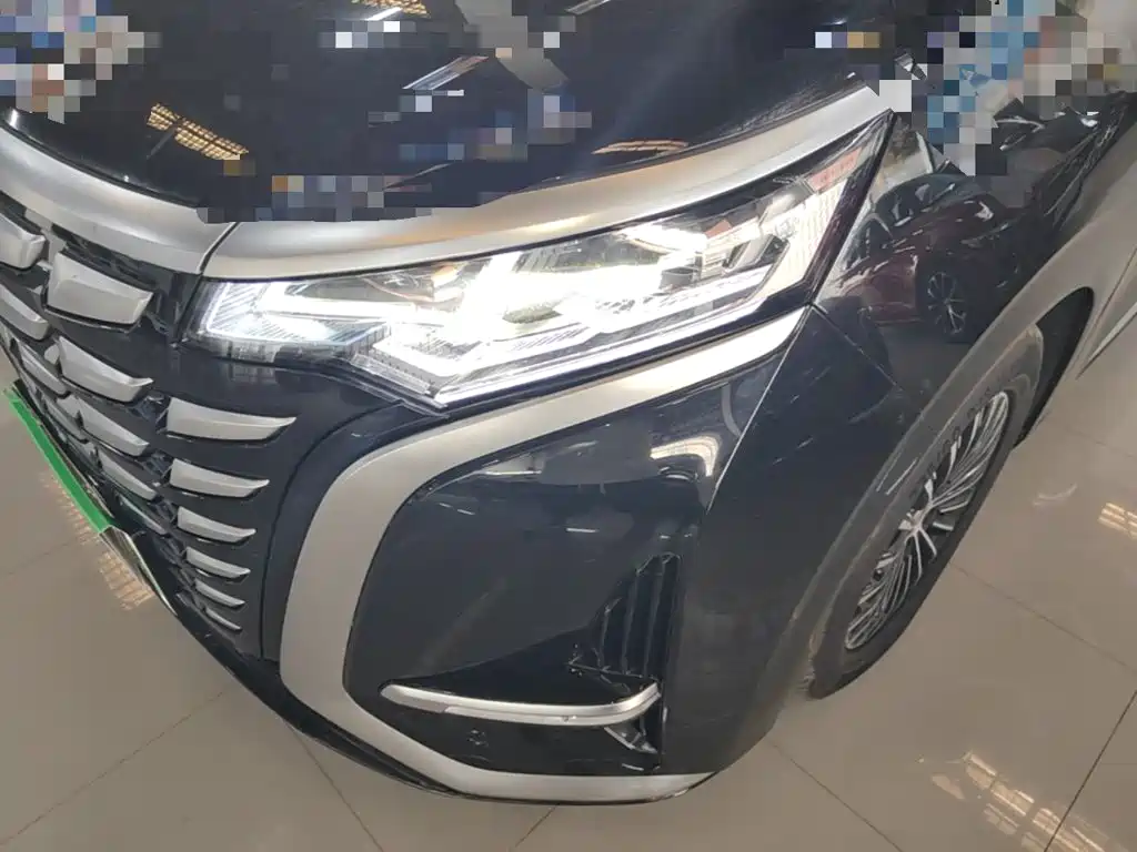 Denza Denza D9 — миниатюра 24