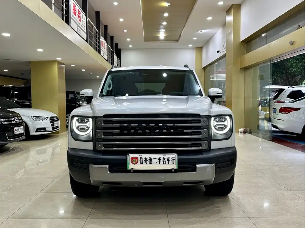 Haval Menglong New Energy — миниатюра 4