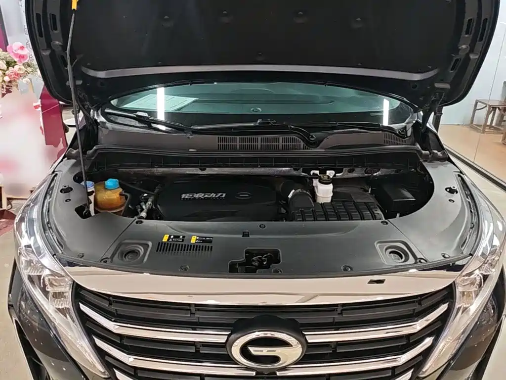 GAC Motor Trumpchi M8 — миниатюра 16