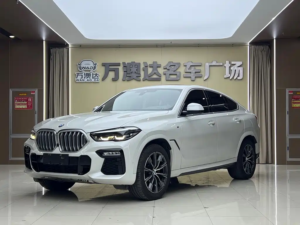 BMW X6 2021 xDrive30i M Sport