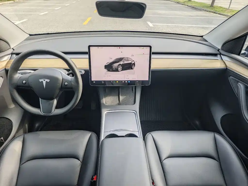 Tesla Model Y — миниатюра 10