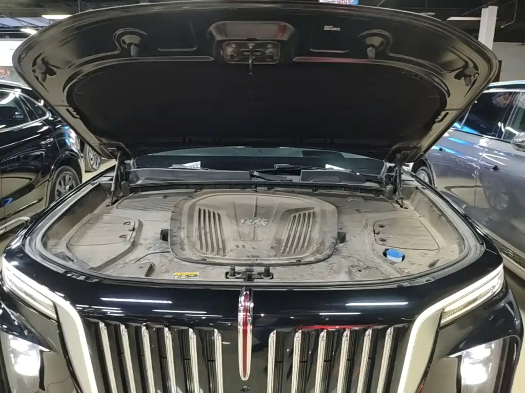 Hongqi Hongqi E-HS9 — миниатюра 20