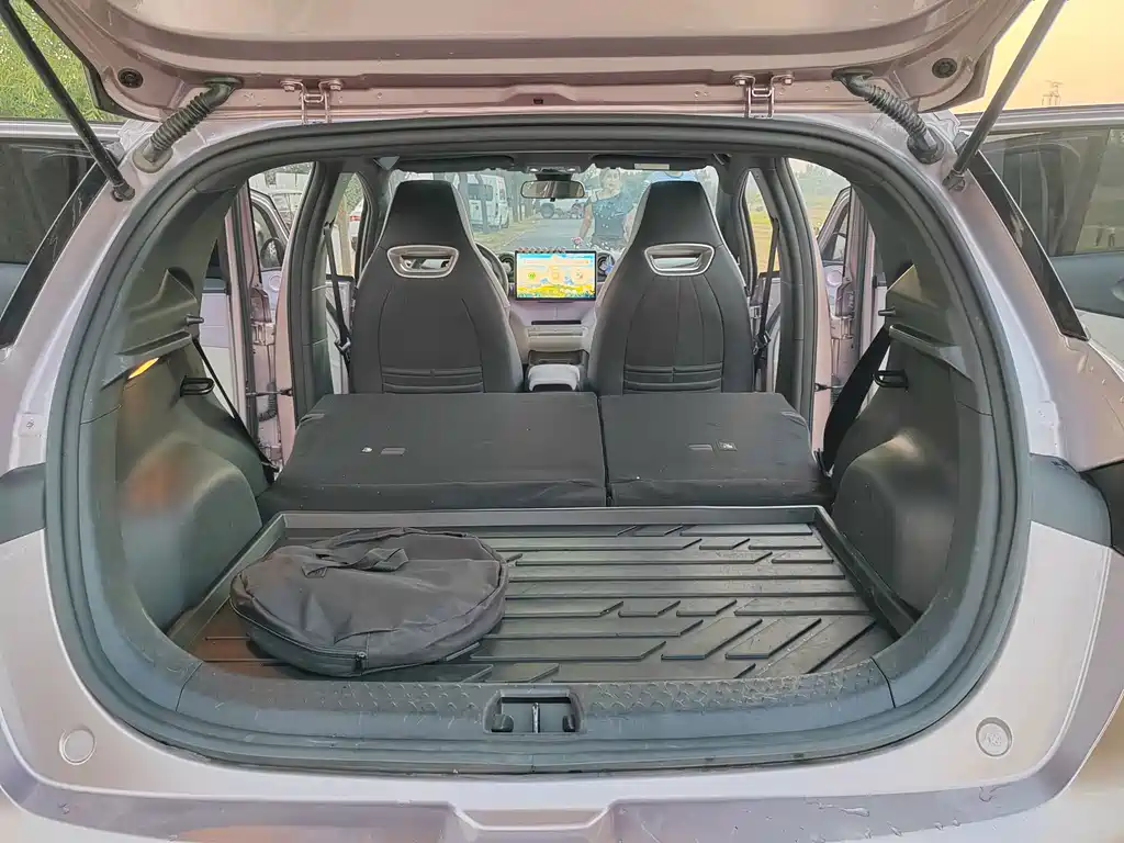 BYD Dolphin — миниатюра 18