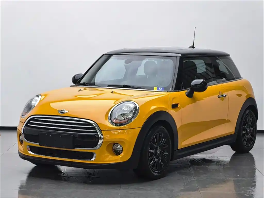 Mini Mini 2017