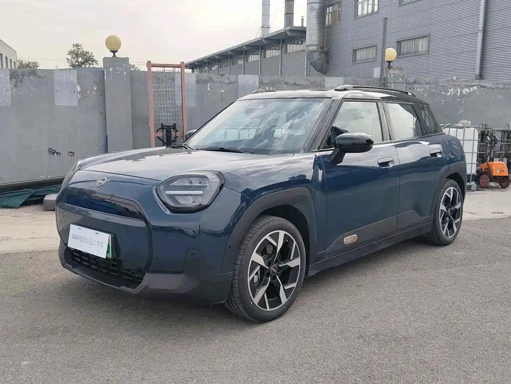 MINI MINI ACEMAN EV