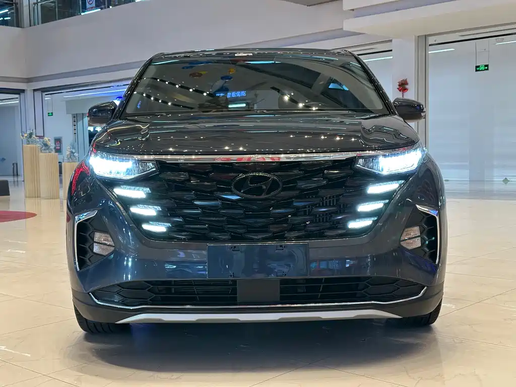 Hyundai Custo — миниатюра 2