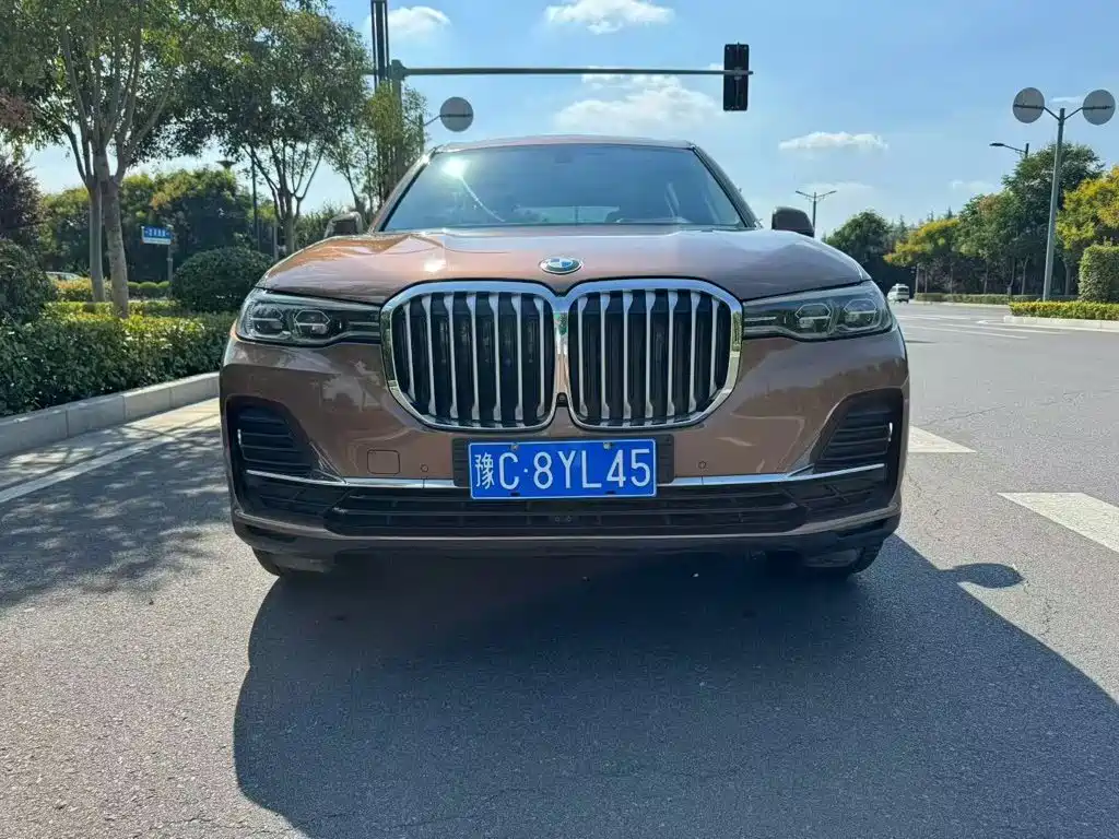 BMW X7 — миниатюра 2