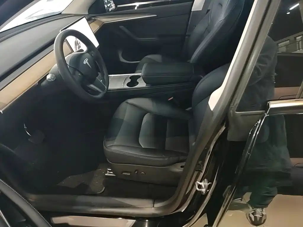 Tesla Model Y — миниатюра 15