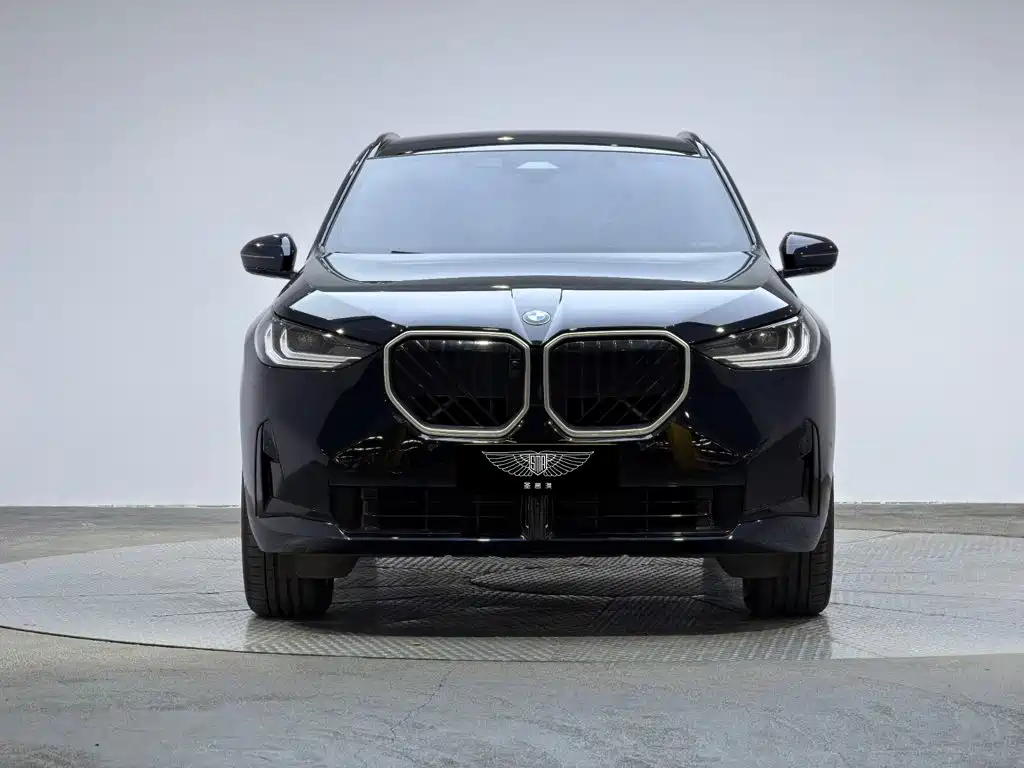 BMW X3 — миниатюра 2