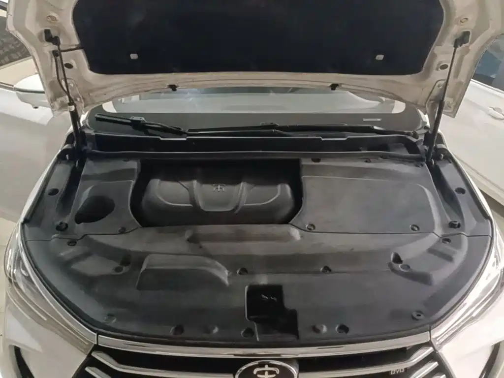 BYD MAX — миниатюра 20