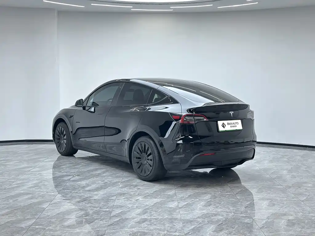 Tesla Model Y — миниатюра 7
