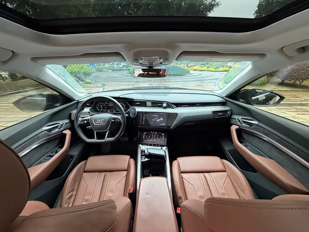 Audi e-tron (Import) — миниатюра 14