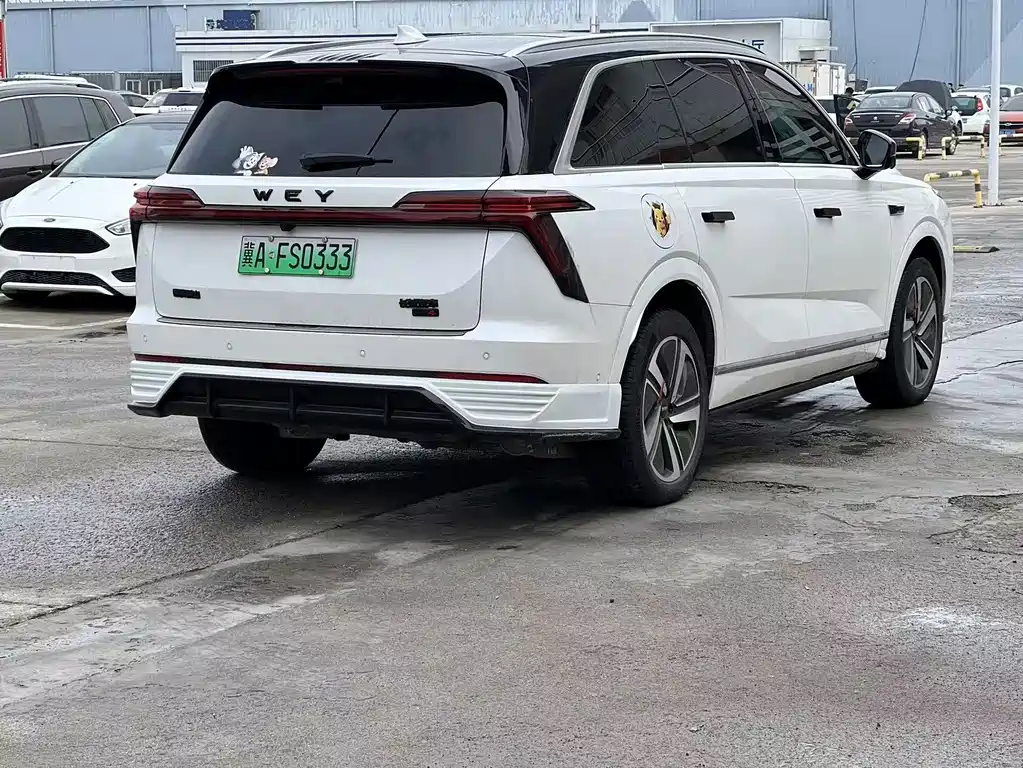Wey Wey Lanshan — миниатюра 13
