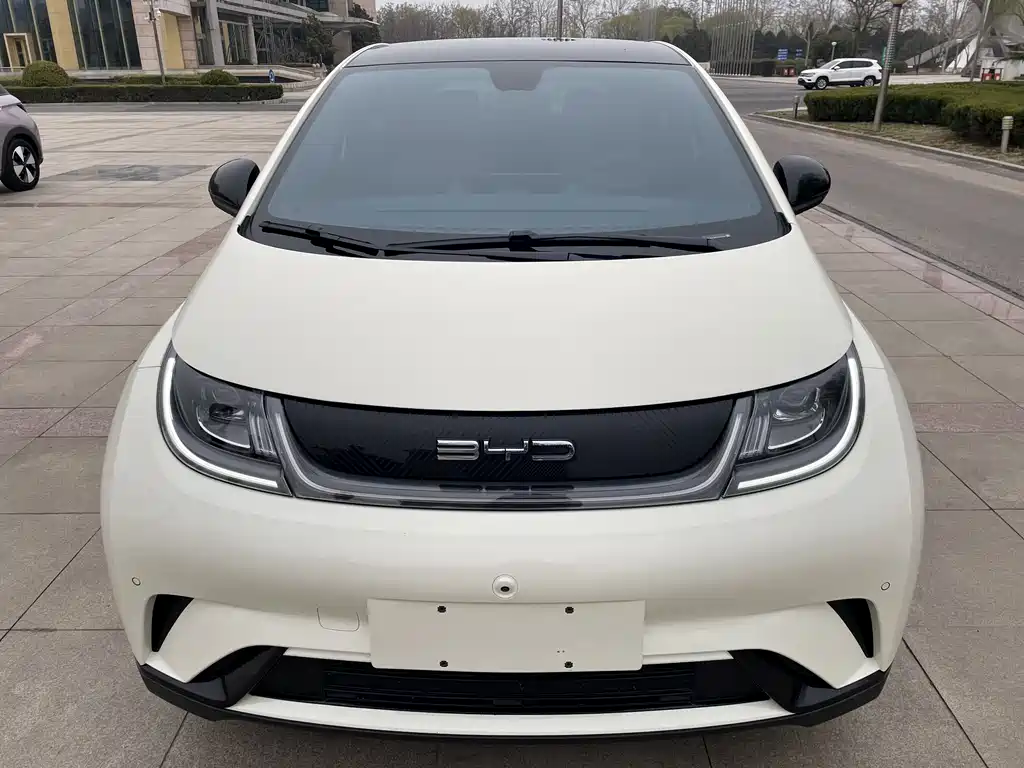 Byd Dolphin 2024