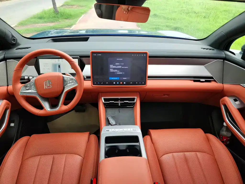BYD Дон Л. — миниатюра 6