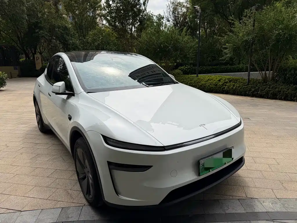 Tesla Model Y — фотографии объявления, Фото 4