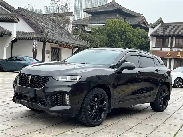 WEI PAI WEI BRAND VV7