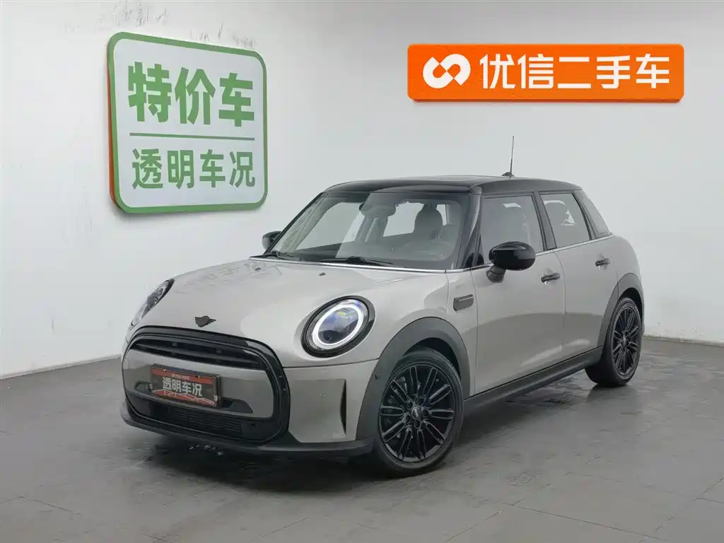 Mini Mini 2021
