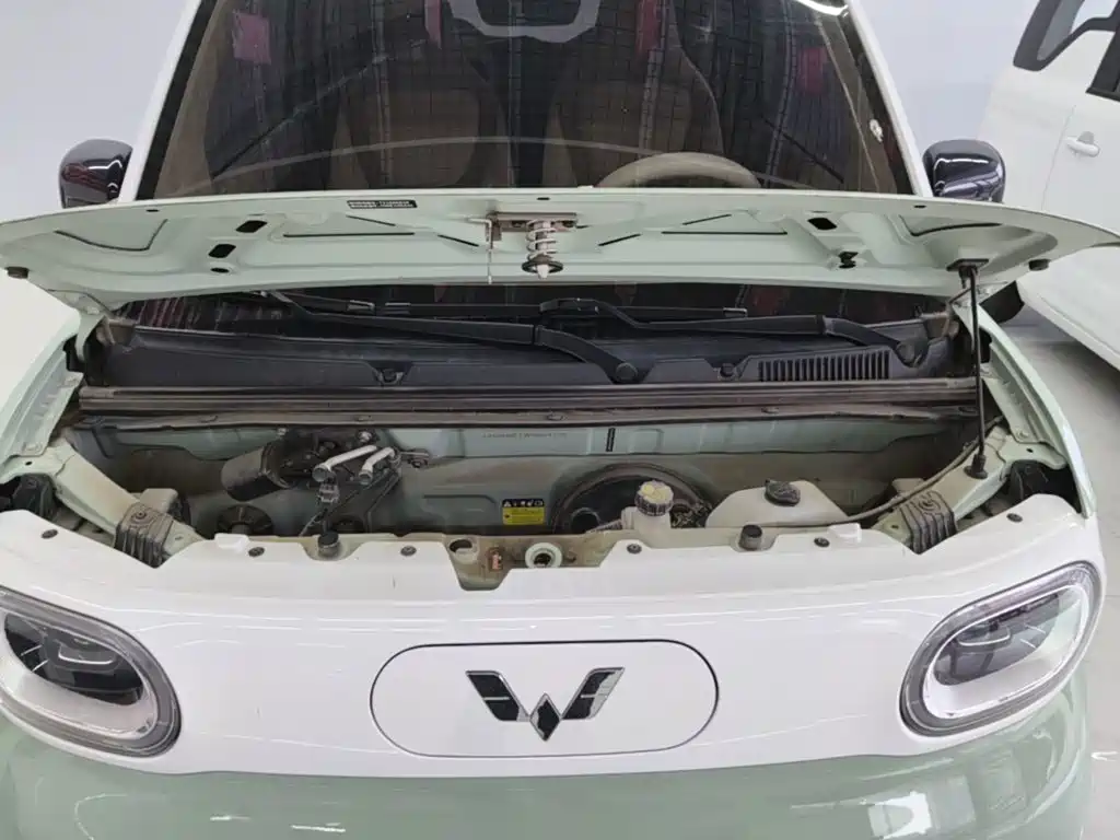 Wuling MINIEV — миниатюра 20