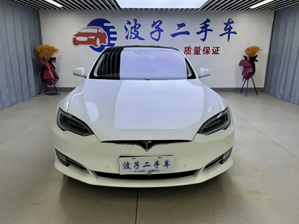 TESLA MODEL S