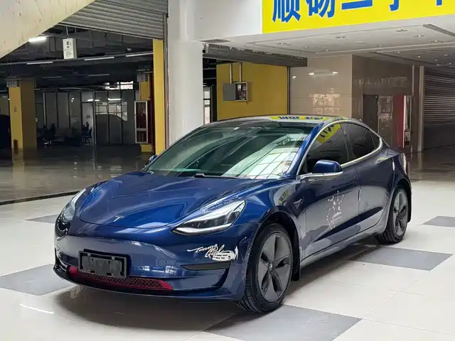 TESLA MODEL 3 2020